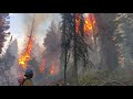 Ever Wonder What It's Like to Work as a Hotshot Wildland Firefighter?