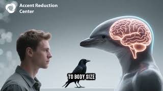 What Makes Us Human - Part 2 - The Brain - ADVANCED