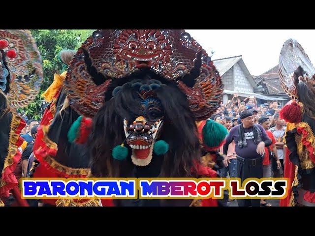BARONGAN MBEROT LOSS!!! ROGO SAMBOYO PUTRO | BANGKEREP TAROKAN 2024 class=