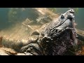 Turtle Adaptations and Hunting Techniques