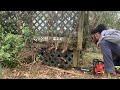 Overgrown Shrubs Take Over Deck (Real Time) Trimming- Lawn Care Biz