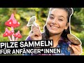 Pilze sammeln: Wie leicht findet und bestimmt man Maronen, Röhrlinge und Co.? || PULS Reportage