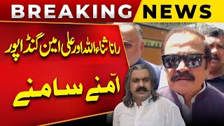 Rana Sanaullah Big Statement About Ali Amin Khan Gandapur | Public News