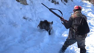 Aksiyon Dolu Muhteşem Domuz Avı Amazing Action Packed Pig Hunt