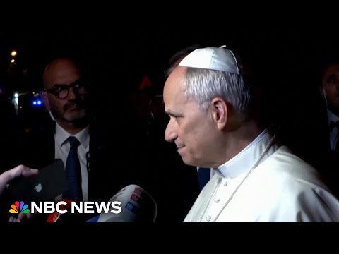 Pope Leo Inhuman Treatment Of Immigrants In U S