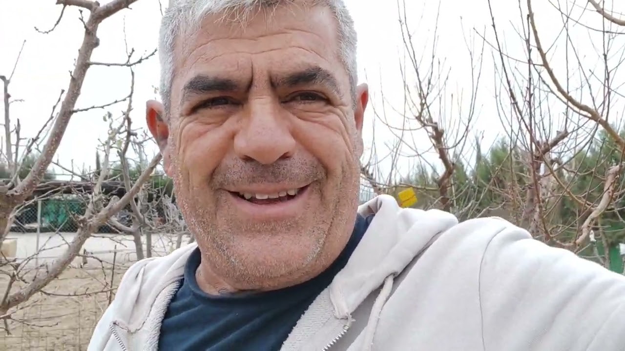 Como plantar tus árboles. ( así lo hacemos nosotros)