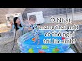 Mình nghỉ làm từ lúc bầu 5 tháng… mà vẫn có tiền-Cuộc Sống Nhật Bản