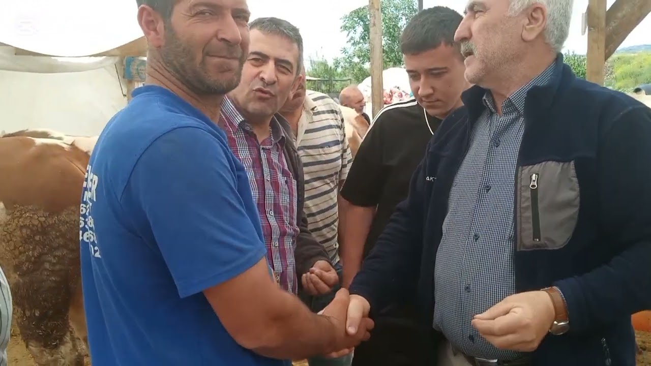 EN  UZUN  BÜYÜK BAŞ KURBAN PAZARLIĞI BURSA GEÇİT KURBAN PAZARI NO 78  TAKİPCİM KURBANI