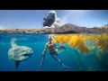 Explosion while Snorkeling off Navy Island! *Calico Bass CCC*