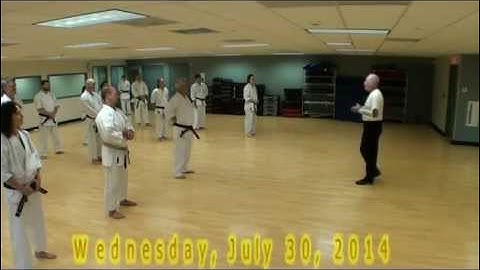 G E Mattson art of Uechi ryu