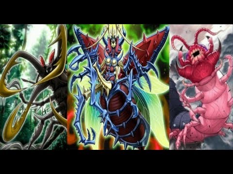 遊戯王デュエルリンクス 究極変異態 インセクト女王1枚だけ Yu Gi Oh Duel Links Metamorphosed Insect Queen Youtube 遊戯王デュエルリンクス 究極変異態 インセクト女王1枚だけ Yu Gi Oh Duel Links Metamorphosed Insect Queen Youtube