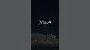 عبدالباسط عبدالصمد | #سورة_هود #قرآن #القرآن_الكريم #قران_كريم #quran