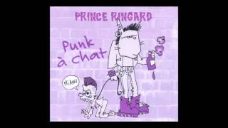 Video thumbnail of "Chanteur de rue - Prince Ringard (Punk à chat)"