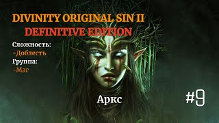 Divinity: Original Sin II [ DE ]. Соло. Сложность: Доблесть. #9