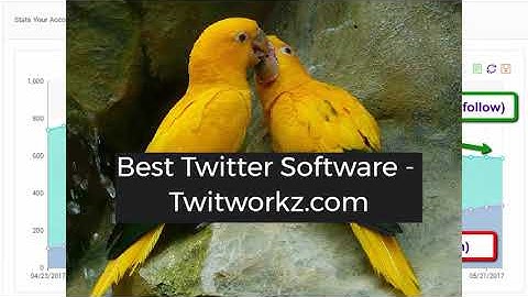 Twitter Auto Follower