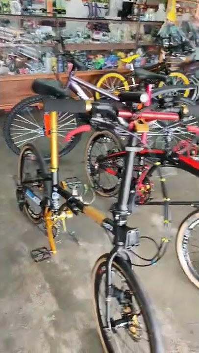 Bicycle Folding bike Raleigh Black Gold update Litepro