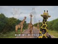 キリンの涙2021Remix ver.