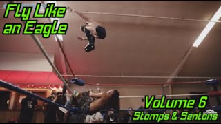 Fly Like An Eagle Vol 6 stomps  Sentons