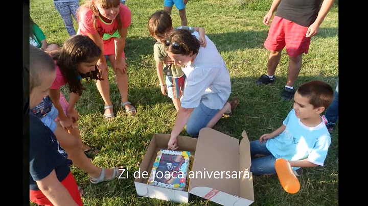 Raluca Damian - voluntar TEAM