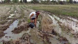 Amazing fishing at Battambang - people fishing in Cambodia - How to Catches fish (Part 57)