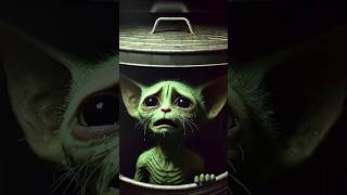 Sad Cats And This For Sas