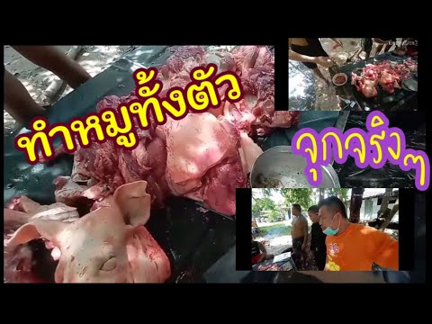 วีดีโอ: วิธีทำหมูทั้งตัว