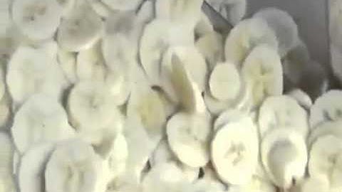 máy cắt chuối làm chuối sấy, máy thái lát chuối chín tự động YQC Lh: 0918862038