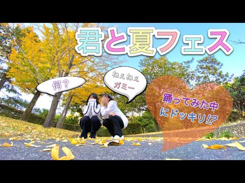 【君と夏フェス】ガミーが誕生日なので踊ってみた中にサプライズしてみたら、、【아리수】