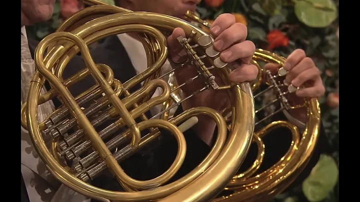Strauss Jr. The Blue Danube, Horn Solo (2021)