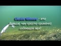 Clackin Minnow  подводная съёмка Клакин миноу