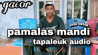 DJ PAMALAS MANDI X TAPALEUK AUDIO VIRAL!!! NEW 2K25 (REMIX)🔥🔥🕺🕺