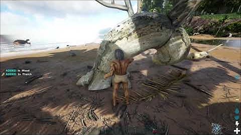 Hướng dẫn chơi ark survival evolved offline năm 2024