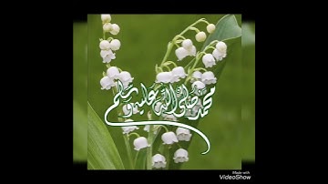 ""إن الله وملائكته يصلون على النبي"" تلاوة بصوت يرقق القلب