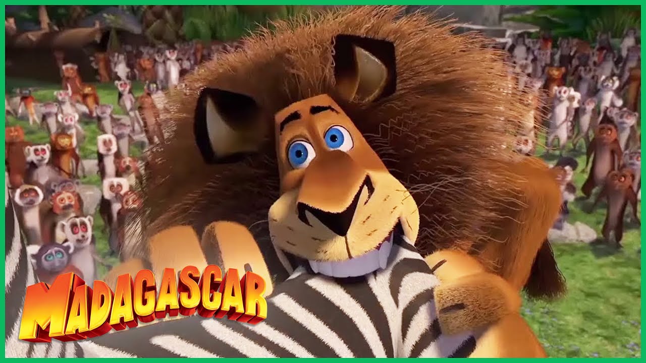 DreamWorks Madagascar em Português | Alex Louco | Madagascar Melhores Momentos | Desenhos Animados
