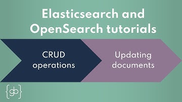 Updating documents in Elasticsearch/OpenSearch