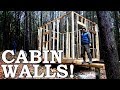 Cabin in the Woods Build! | Milling LOGS into LUMBER, Floor, Walls in the WILDERNESS Ep 2 Cabin in the Woods Build! | Milling LOGS into LUMBER, Floor, Walls in the WILDERNESS Ep 2