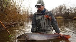 flyfishing on Siberian  taimen