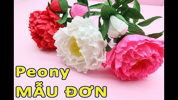 Cách Làm Hoa Mẫu Đơn Từ Giấy Nhún - Đơn Giản Dễ Làm | Khéo Tay DiY