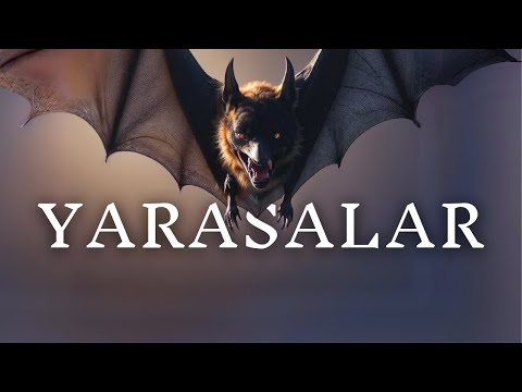 Kamp Yapan Adamın Girdiği Mağarada Karşılaştığı Yarasalar ve Cinler | Korku Hikayeleri | Paranormal