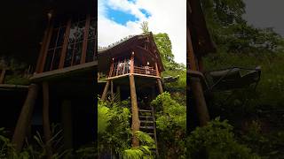 25 Lakh ka hotel 💸😲 Jungle ke bicho beech 😍 Bali Part 1 #shorts #vlog