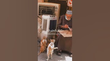 كَانُوا۟ قَلِيلًۭا مِّنَ ٱلَّيْلِ مَا يَهْجَعُونَ [سعود الشريم] سورة الذاريات