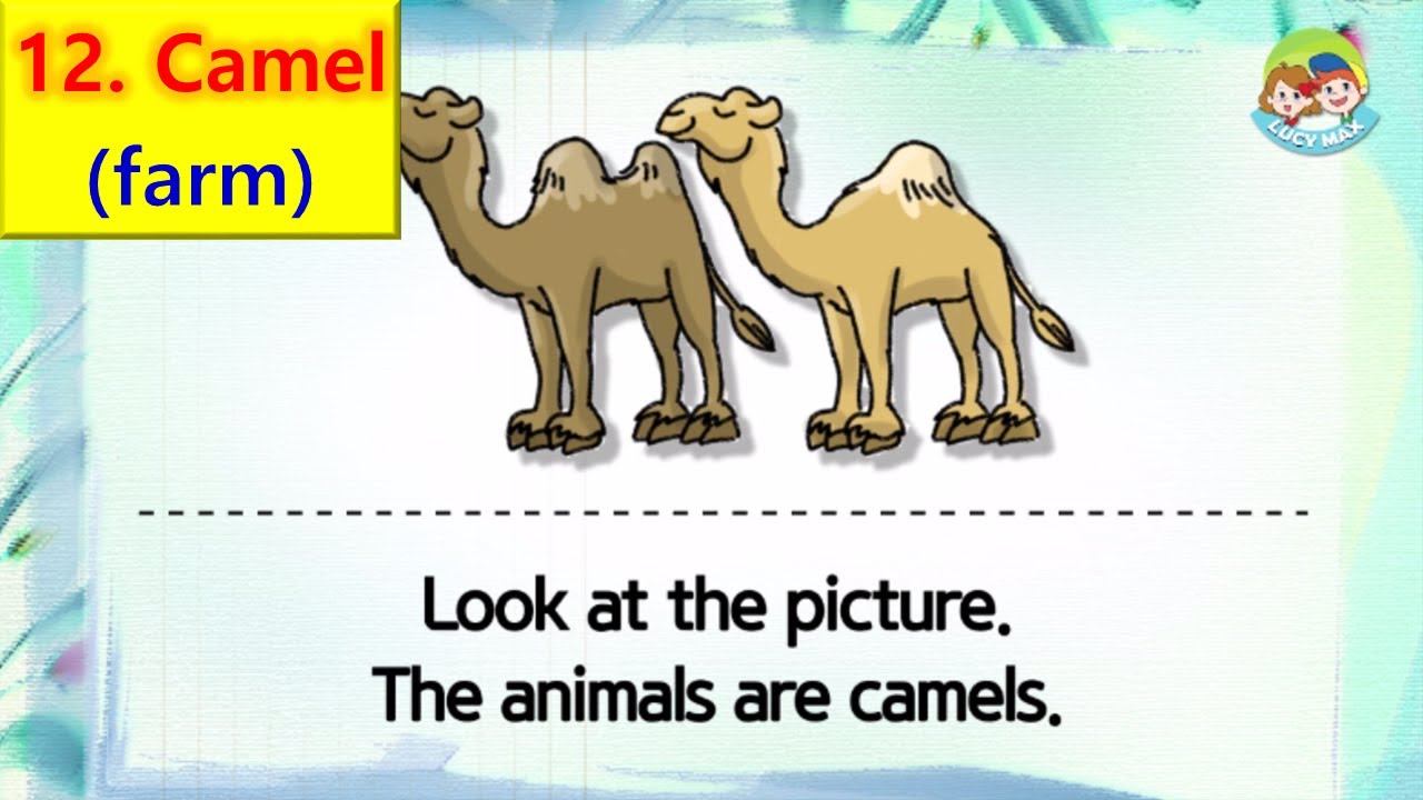 80 Animals | Unit 12- Farm | Camel