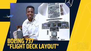 Introducing the Boeing 737 Flight Deck Layout ✈️ My Head Start to Jet Flying! #Aviation #Boeing737