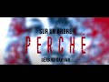 Sur un arbre perch gerard saryan trailerbook 2022  new hope production