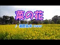 菜の花(湯原昌幸)cover