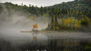 Quebec4K: Relaxing Music Journey with the beauty of Nature.