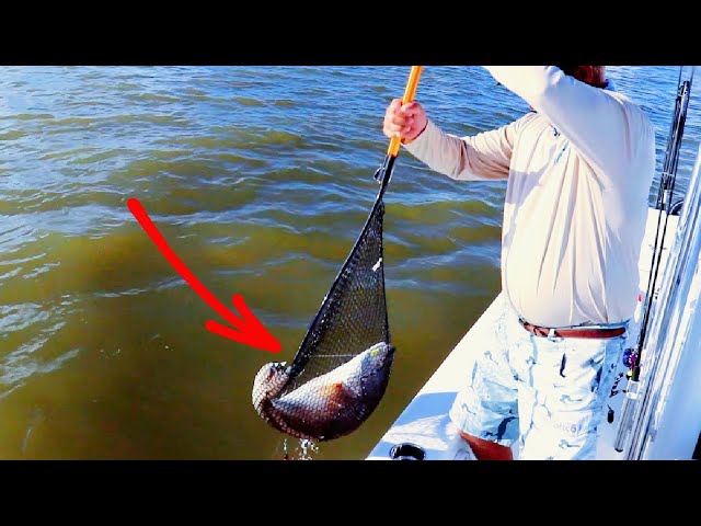 How To Correctly Net A Big Fish (So You Don't Break Your Net) 