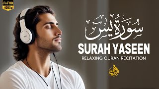 World's most beautiful Quran recitation of Surah Yasin (Yaseen) سورة يس | Ngaji Merdu