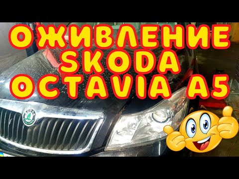 Ремонт АКПП Шкода Октавия А5 DSG7 DQ200