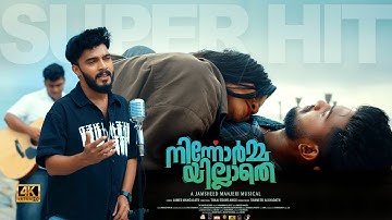 Ninnormmayillathe | New Song | Jamsheed Manjeri | Pularuvan Kathirunnuvo | New Viral Song
